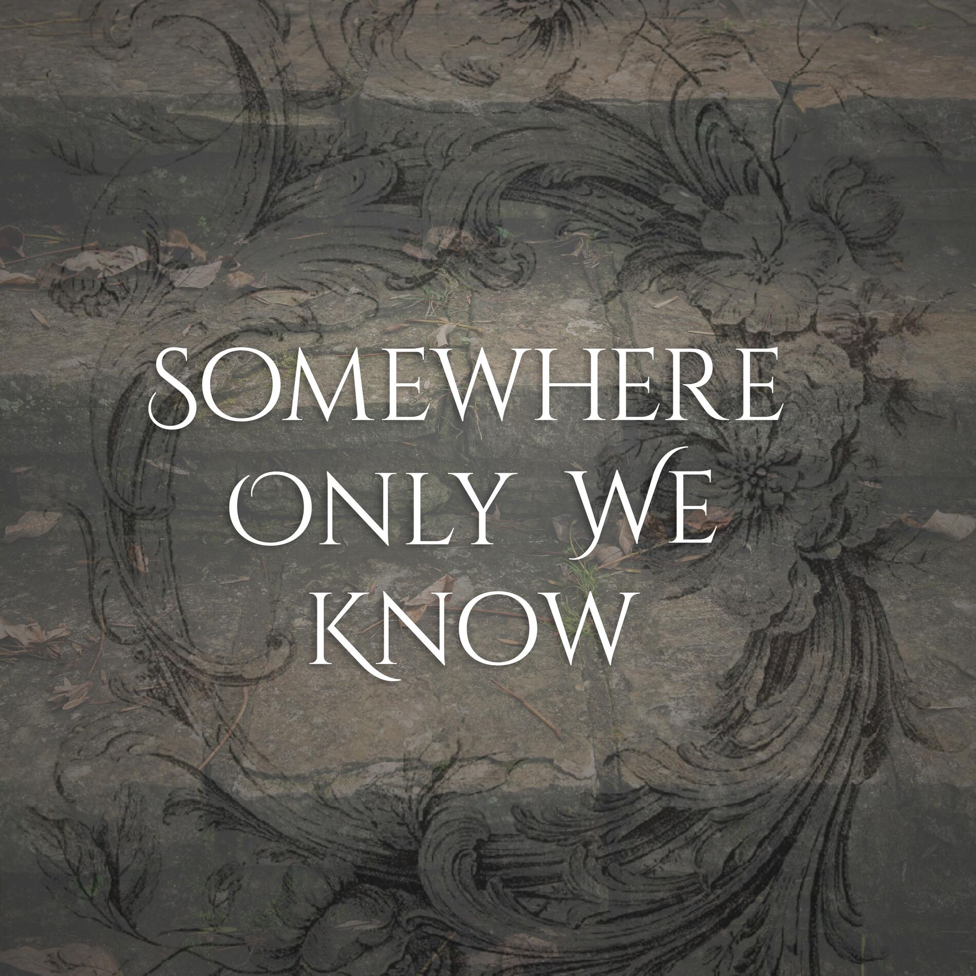 Album cover of Somewhere Only We Know