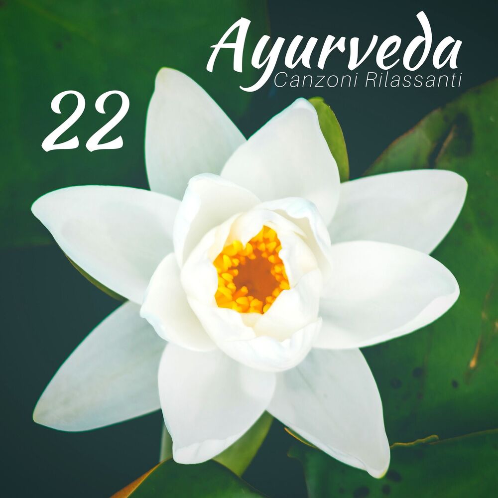 Picture of 22 Ayurveda Vol 1 - Canzoni Rilassanti per Massaggio Ayurvedico, Musica Orientale Strumentale New Age con Suoni della Natura