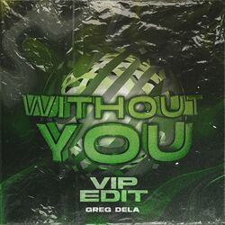 Cover of Without You (Vip Edit)