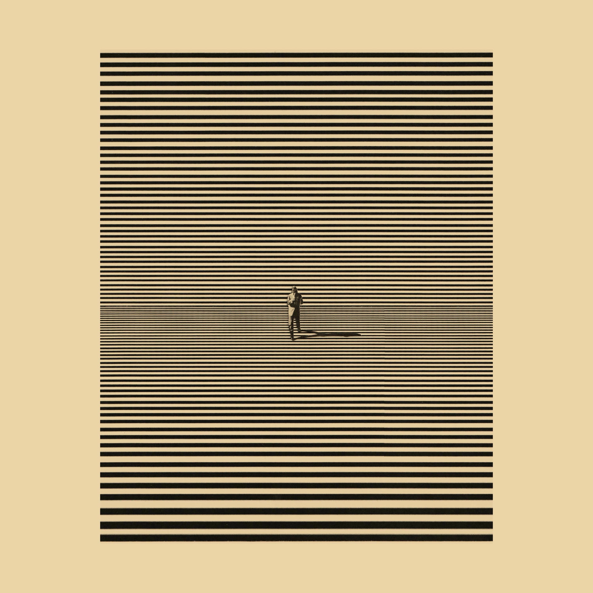 Album cover of Feathers