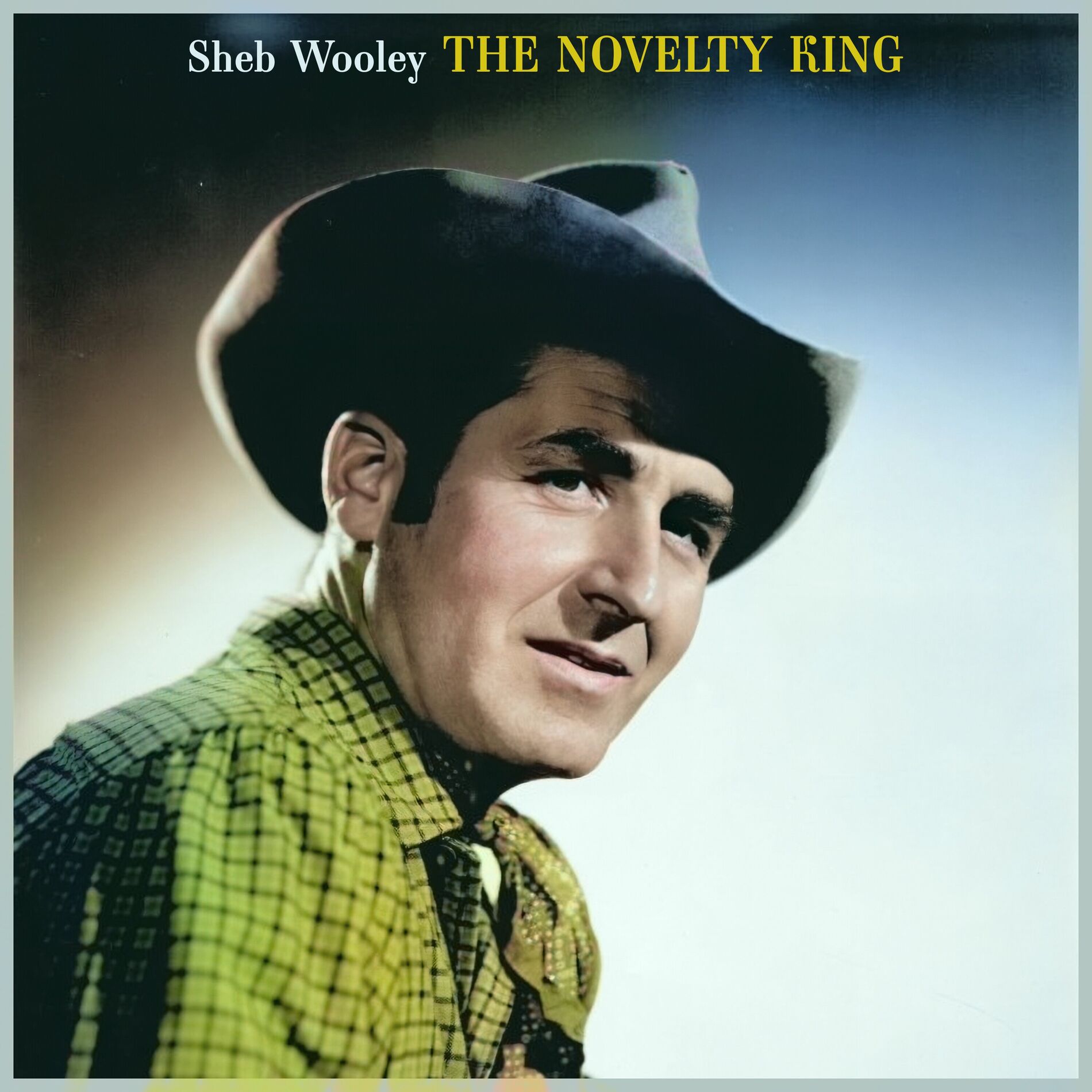 Album cover of The Novelty King