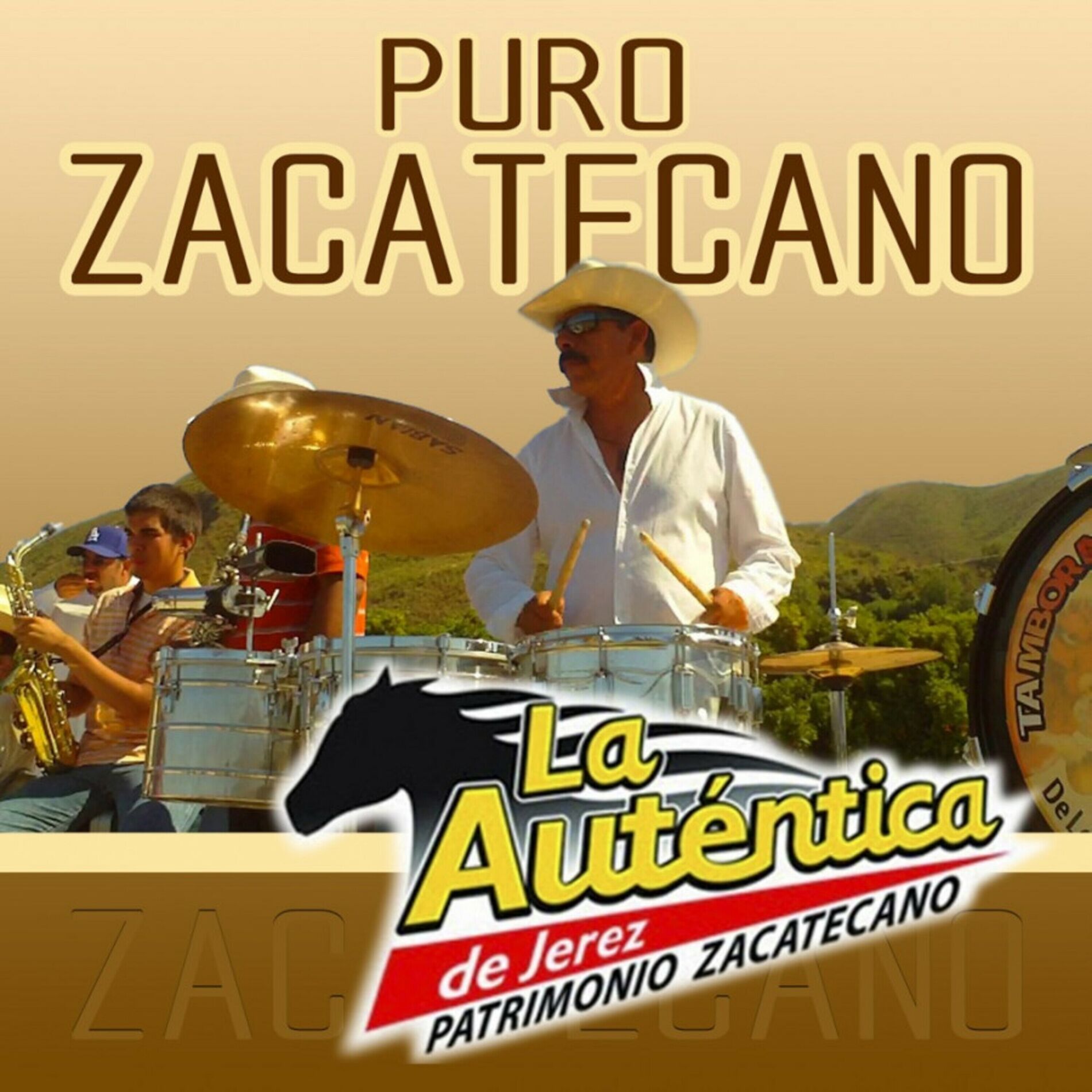 Album cover of Puras Zacatecano