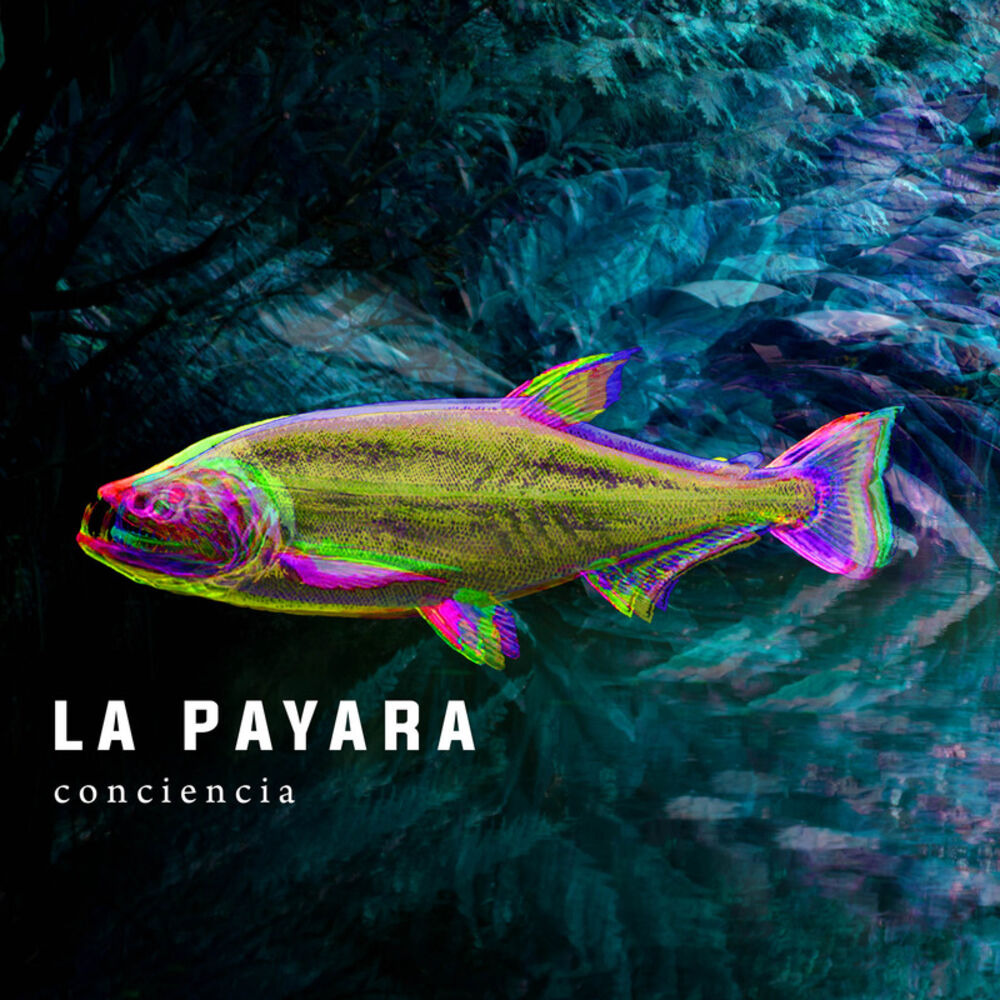 Picture of Conciencia