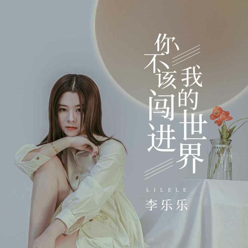 你不该闯进我的世界 (伴奏)