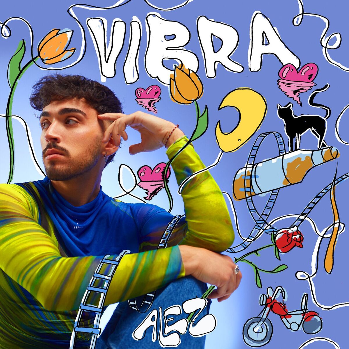 Album cover of VIBRA