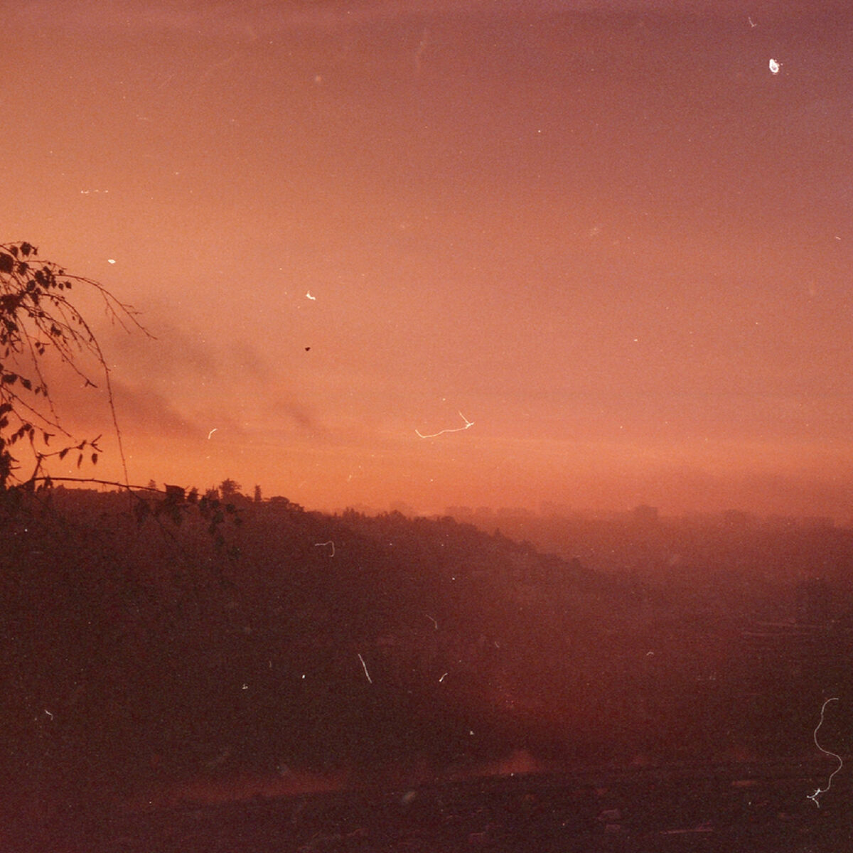 Album cover of Shine