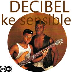 Cover of Ke sensible