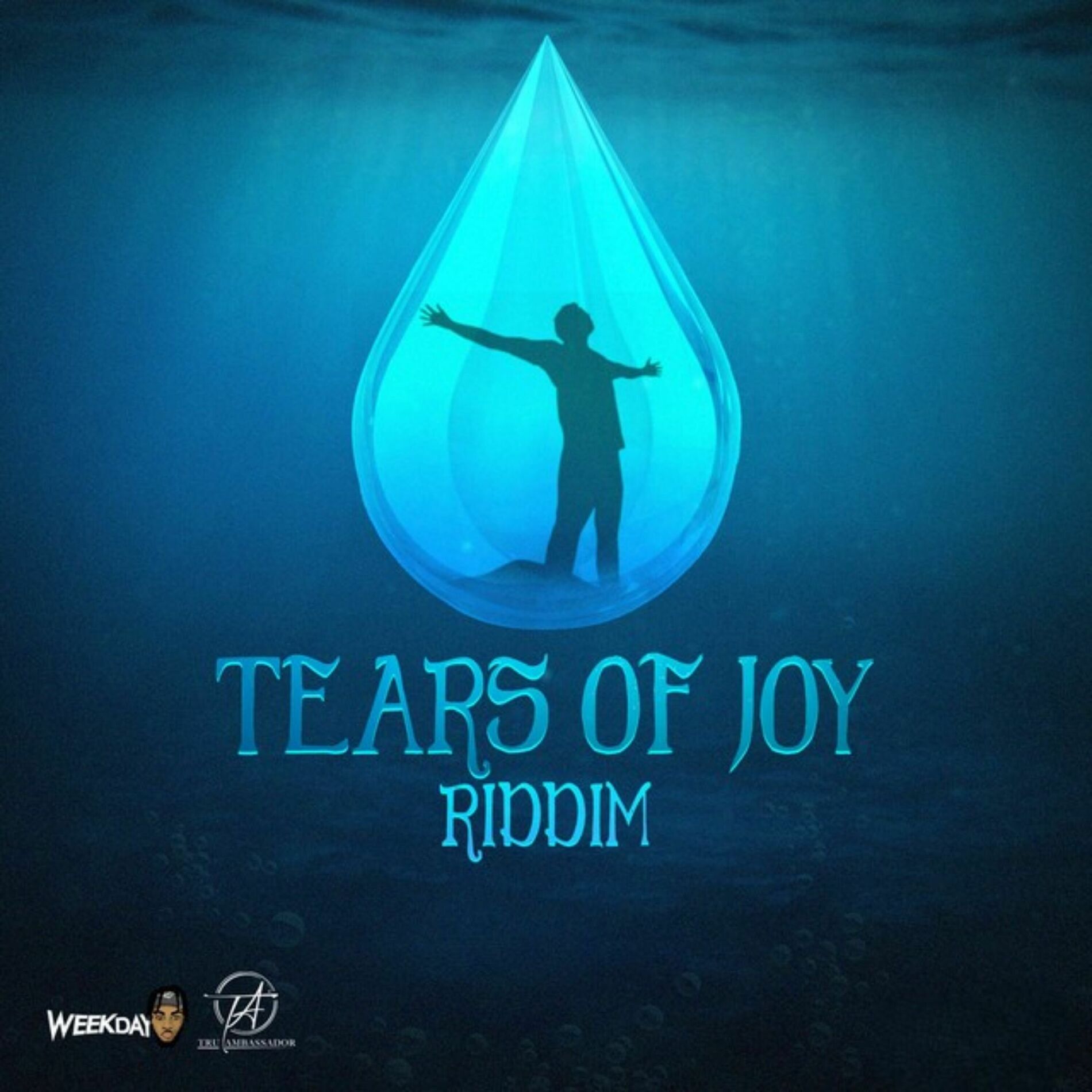 Album cover of Tears of Joy Riddim