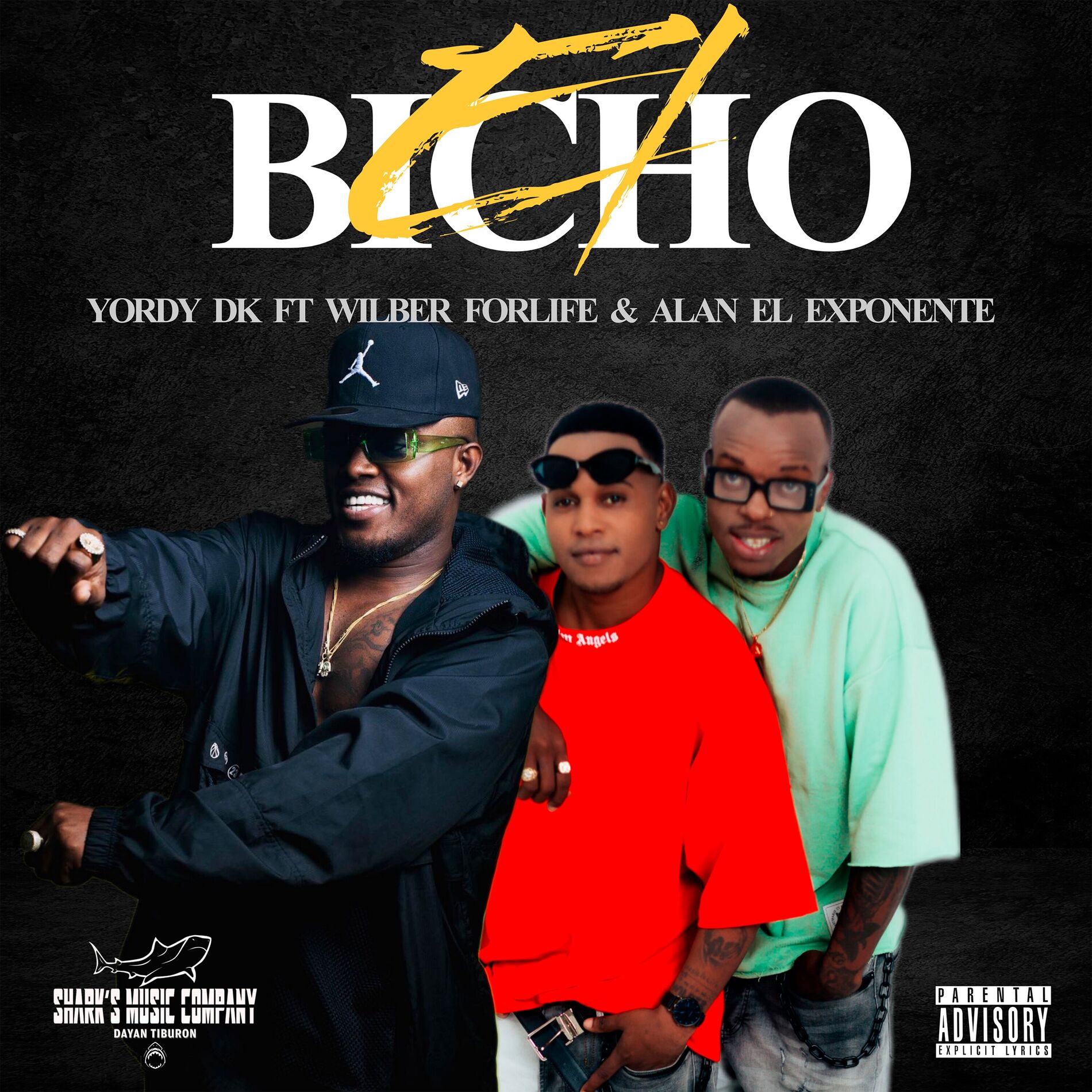Album cover of El Bicho