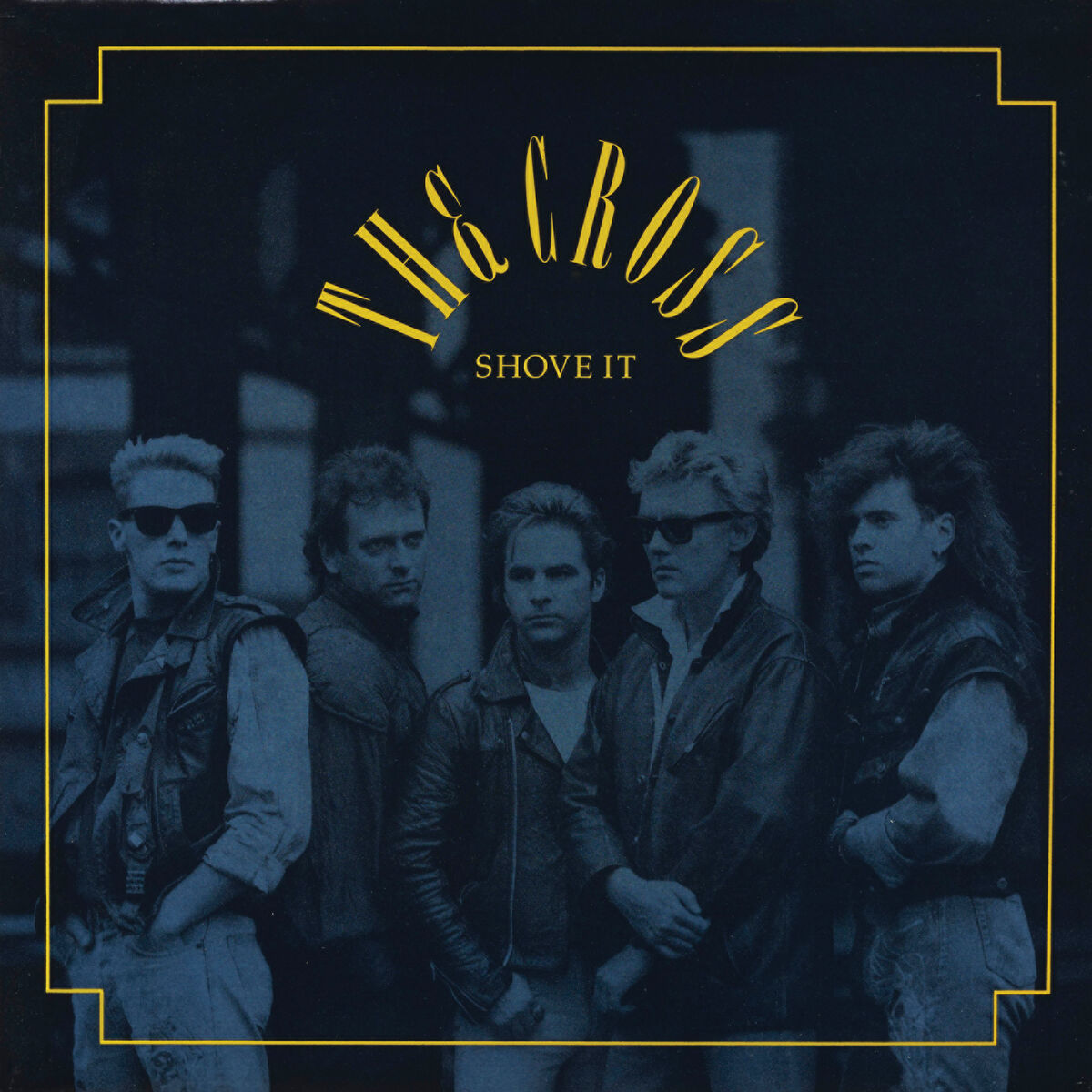 Album cover of Shove It