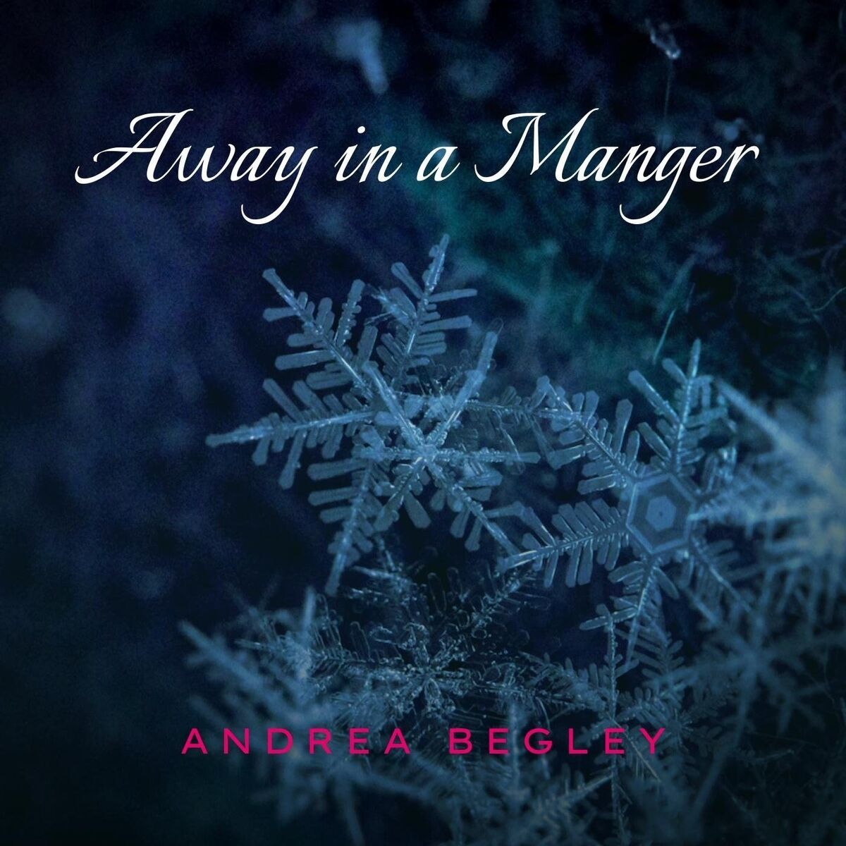 Album cover of Away in a Manger