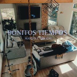Cover of Bonitos Tiempos