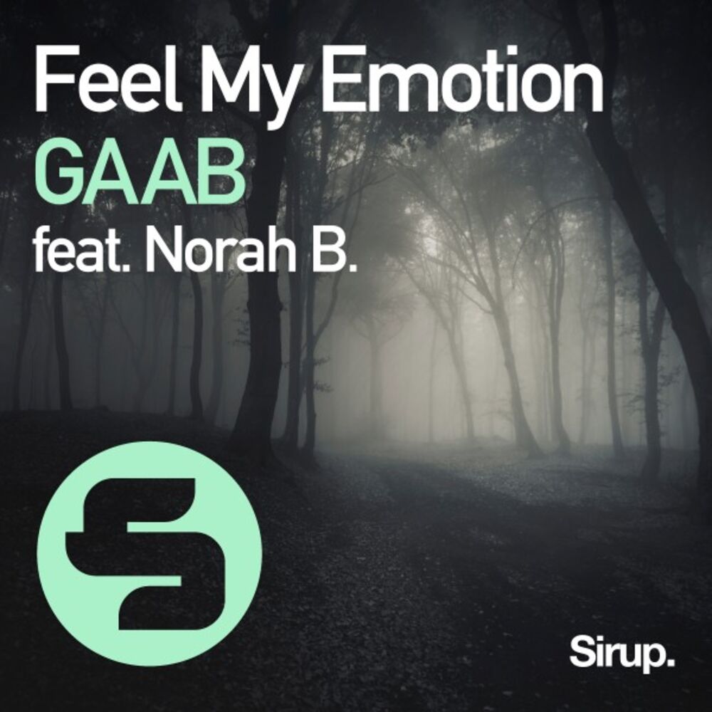 Picture of Feel My Emotion