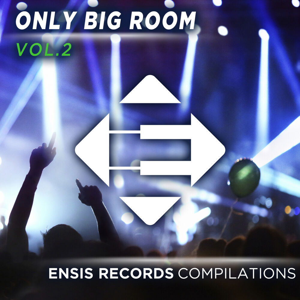 Picture of Only Big Room - Vol. 2