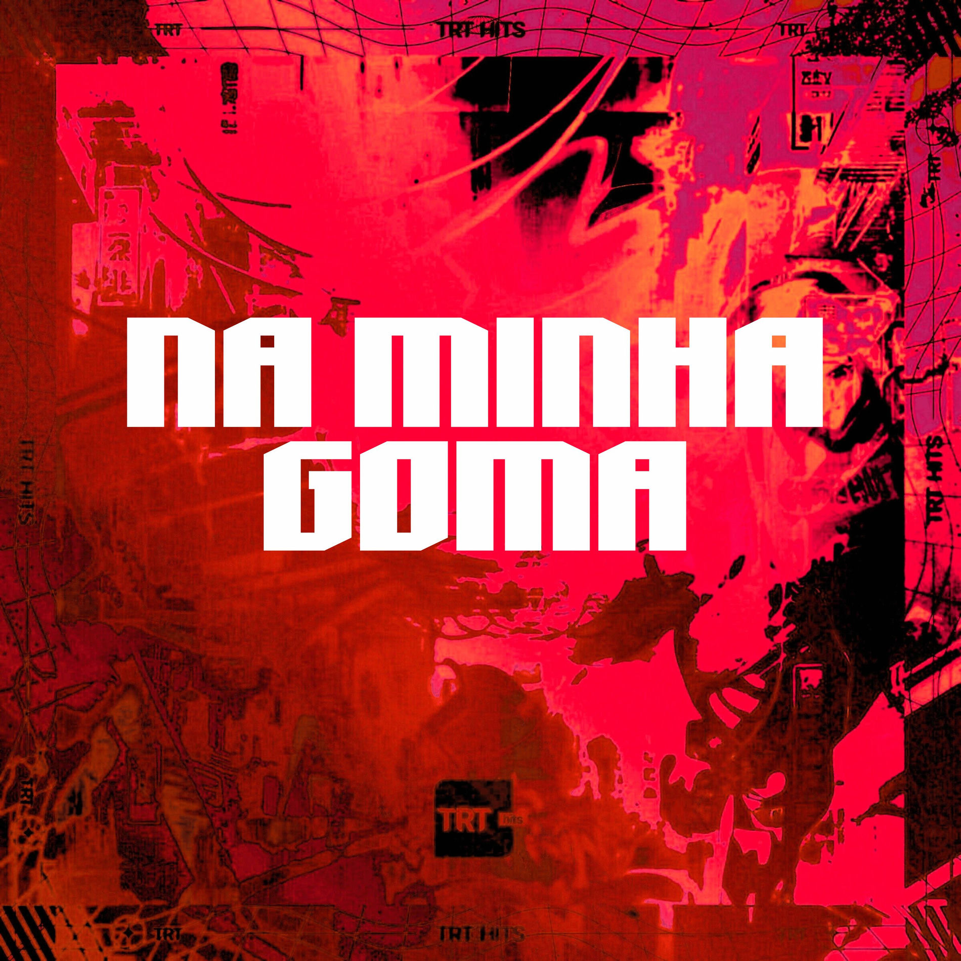 Album cover of NA MINHA GOMA