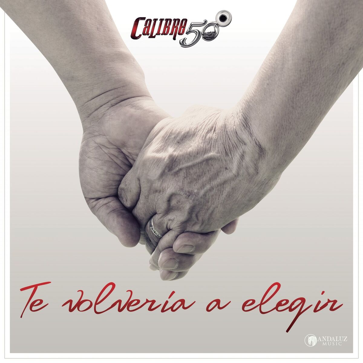 Album cover of Te Volvería A Elegir