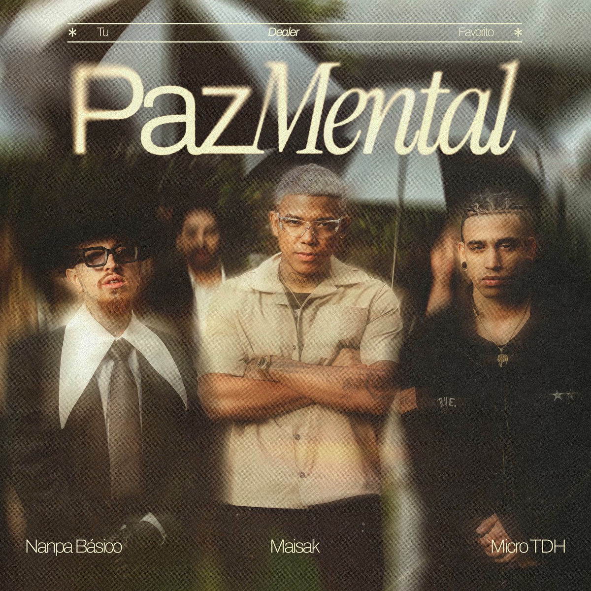 Album cover of Paz Mental
