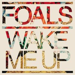 Cover of Wake Me Up