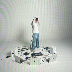 Cover of Digital Chaos