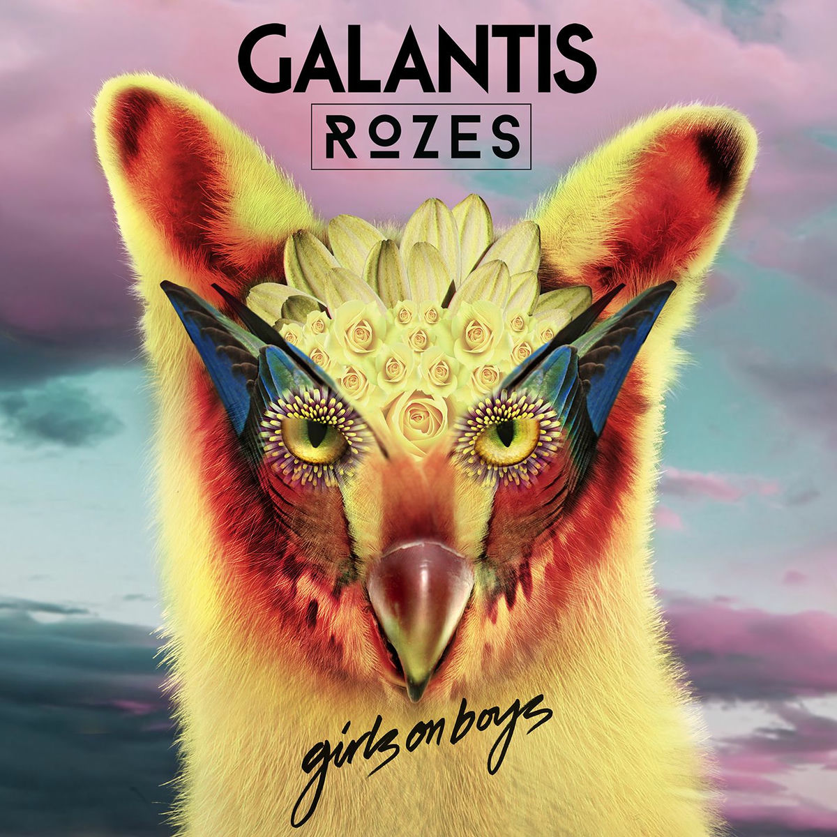 Album cover of Girls On Boys