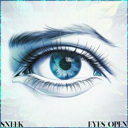 Cover of EYES OPEN