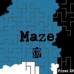 Cover of Maze