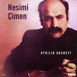 Cover of Ayrılık Hasreti
