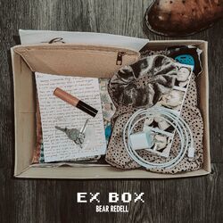 Cover of Ex Box