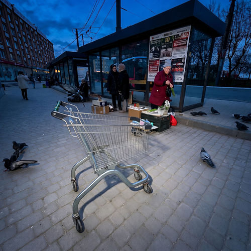 телега