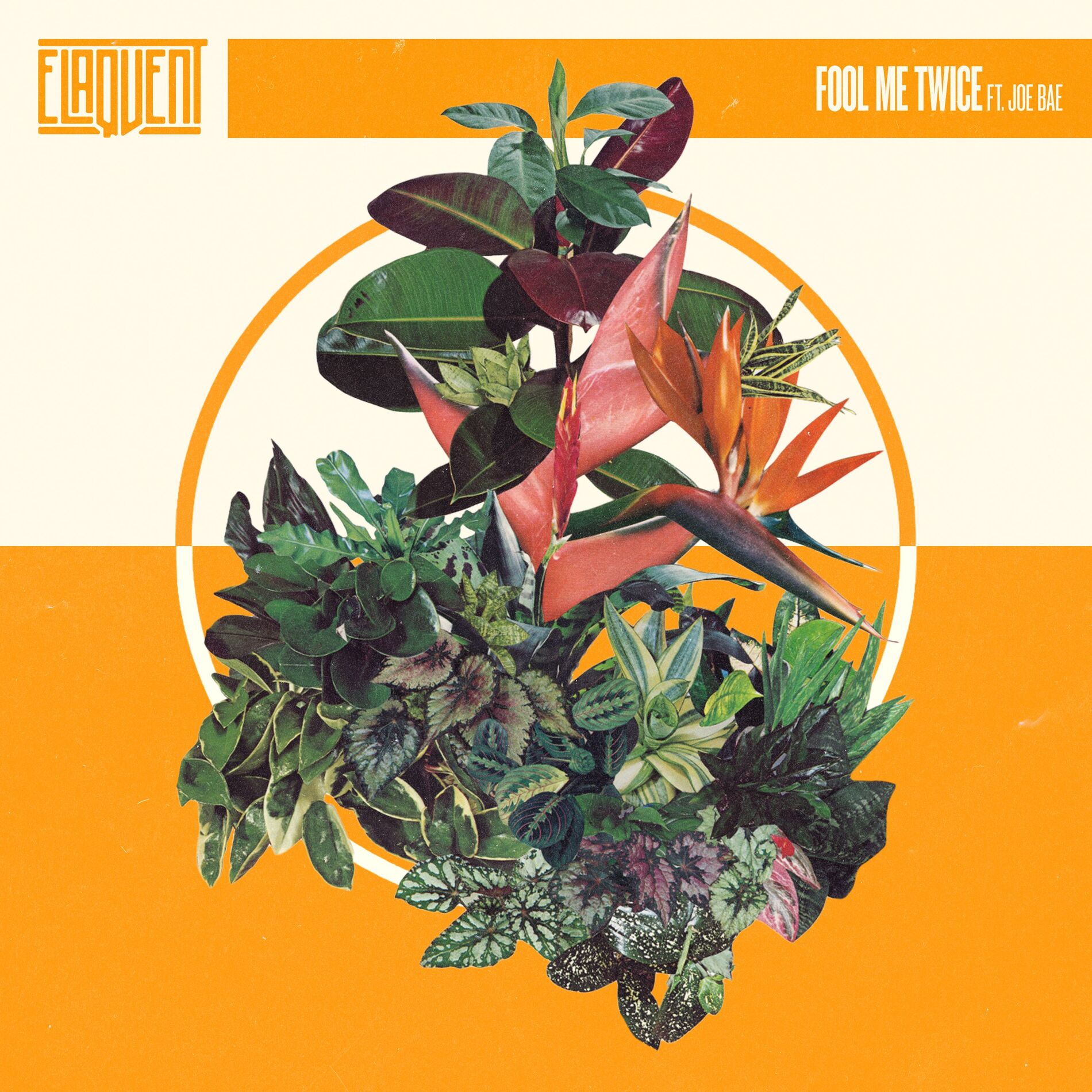 Album cover of Fool Me Twice