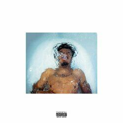 Cover of sink or swim