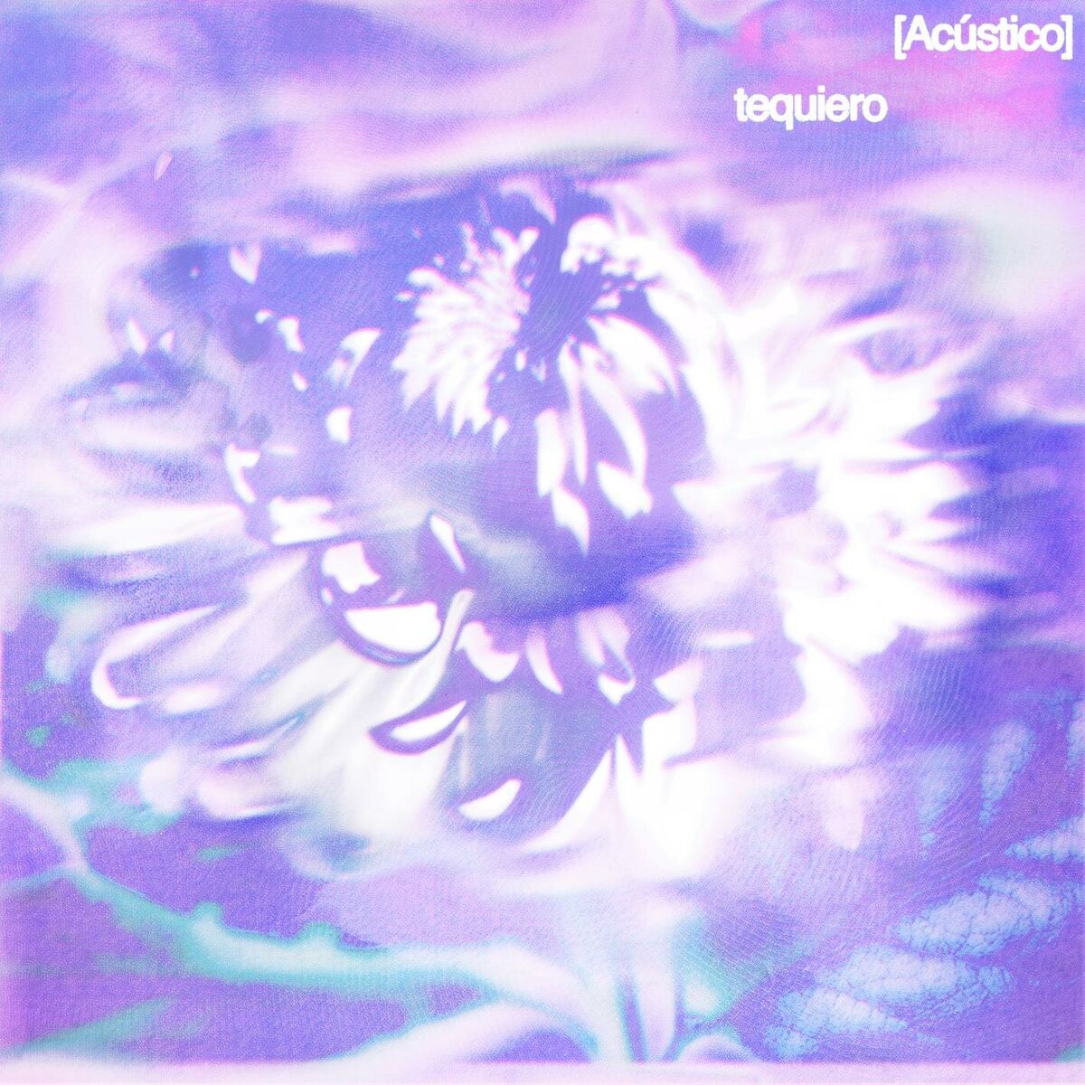 Album cover of tequiero (Acústico)