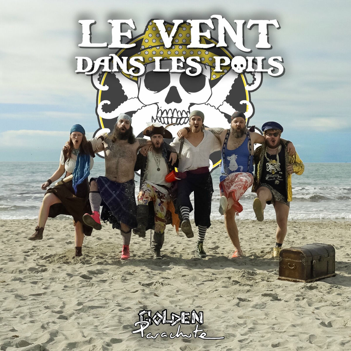 Album cover of Le vent dans les poils