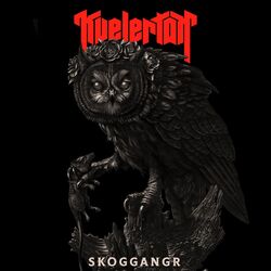 Cover of Skoggangr (Single Version)
