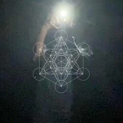Cover of SHEDIM