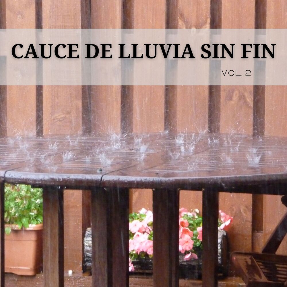 Picture of Cauce De Lluvia Sin Fin Vol. 2