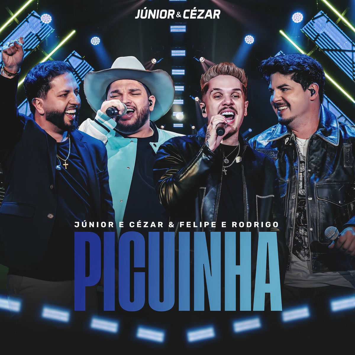 Album cover of Picuinha (Ao Vivo)