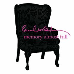 Cover of Memory Almost Full