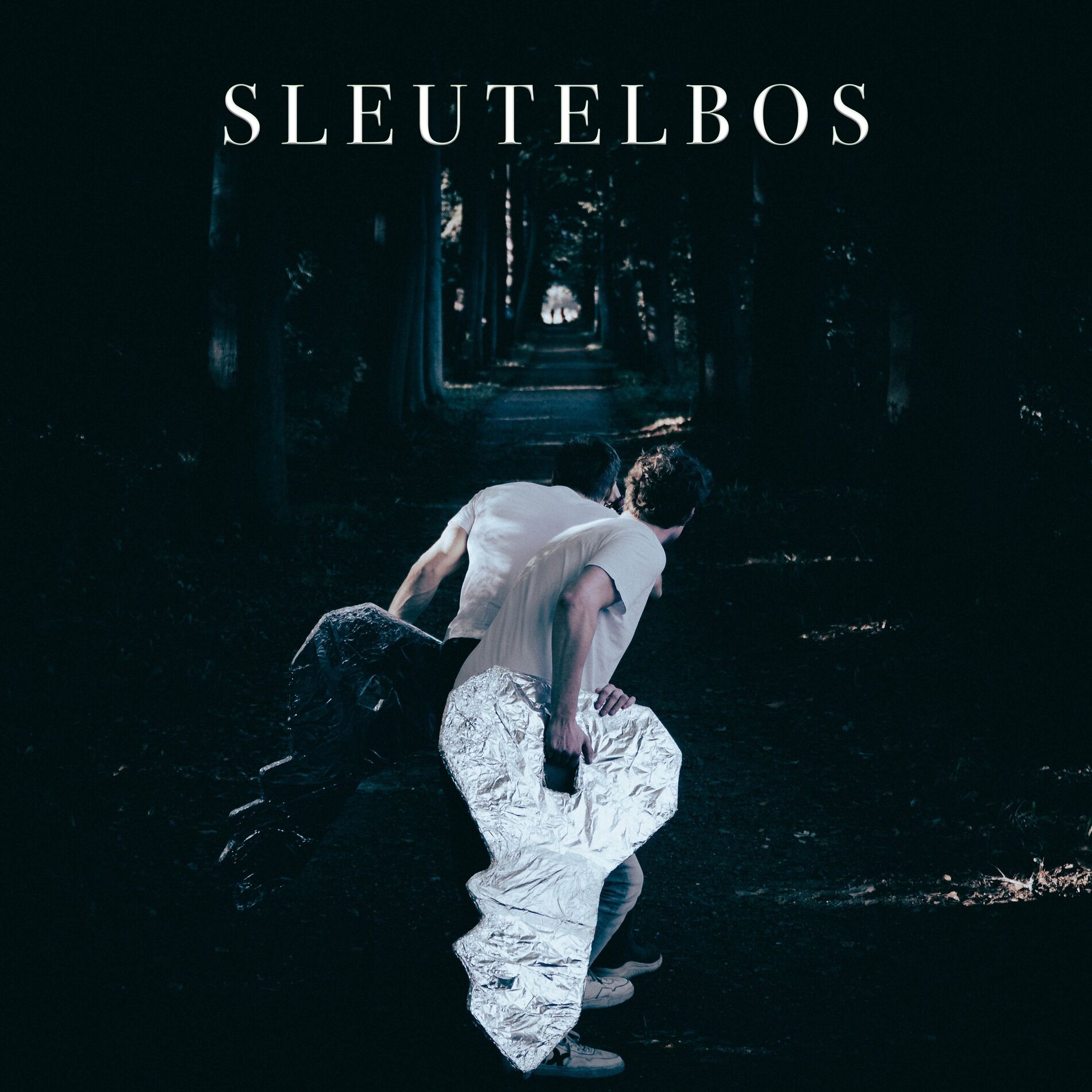 Album cover of Sleutelbos