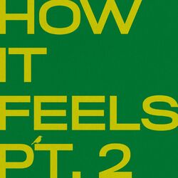 Cover of How It Feels Pt. 2