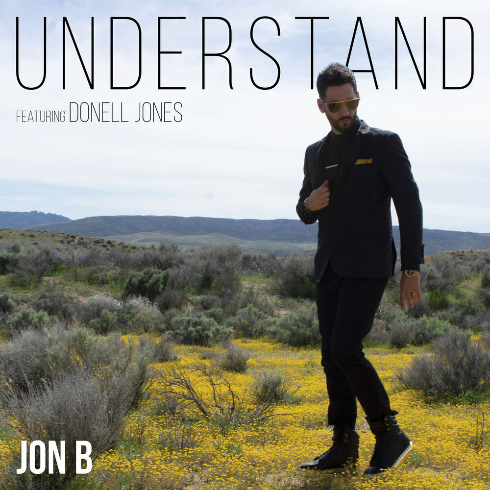 Picture of Understand