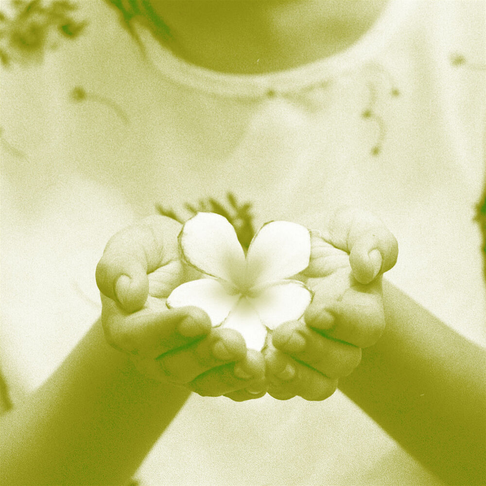 Picture of Kalachuchi
