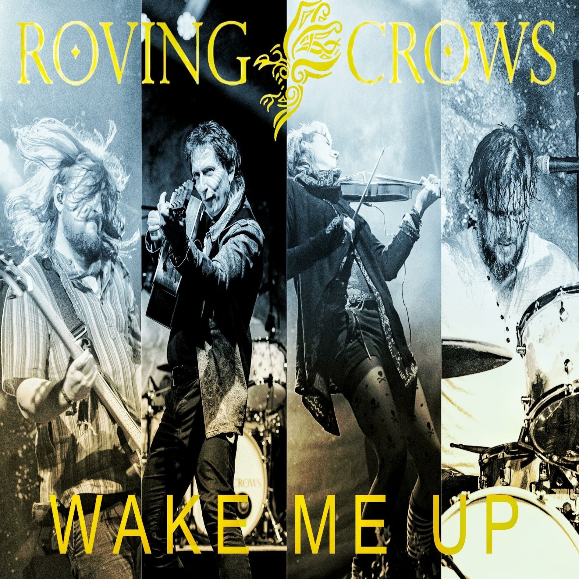 Album cover of Wake Me Up