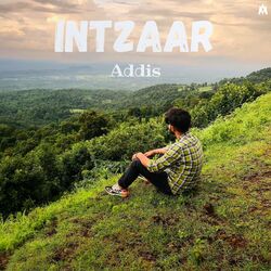 Cover of Intzaar