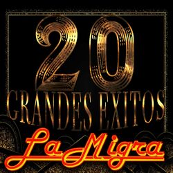 Cover of 20 Grandes Exitos