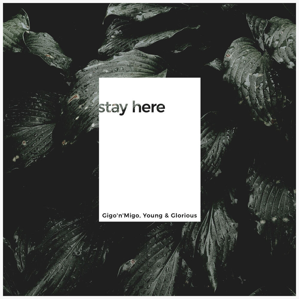 Picture of Stay Here