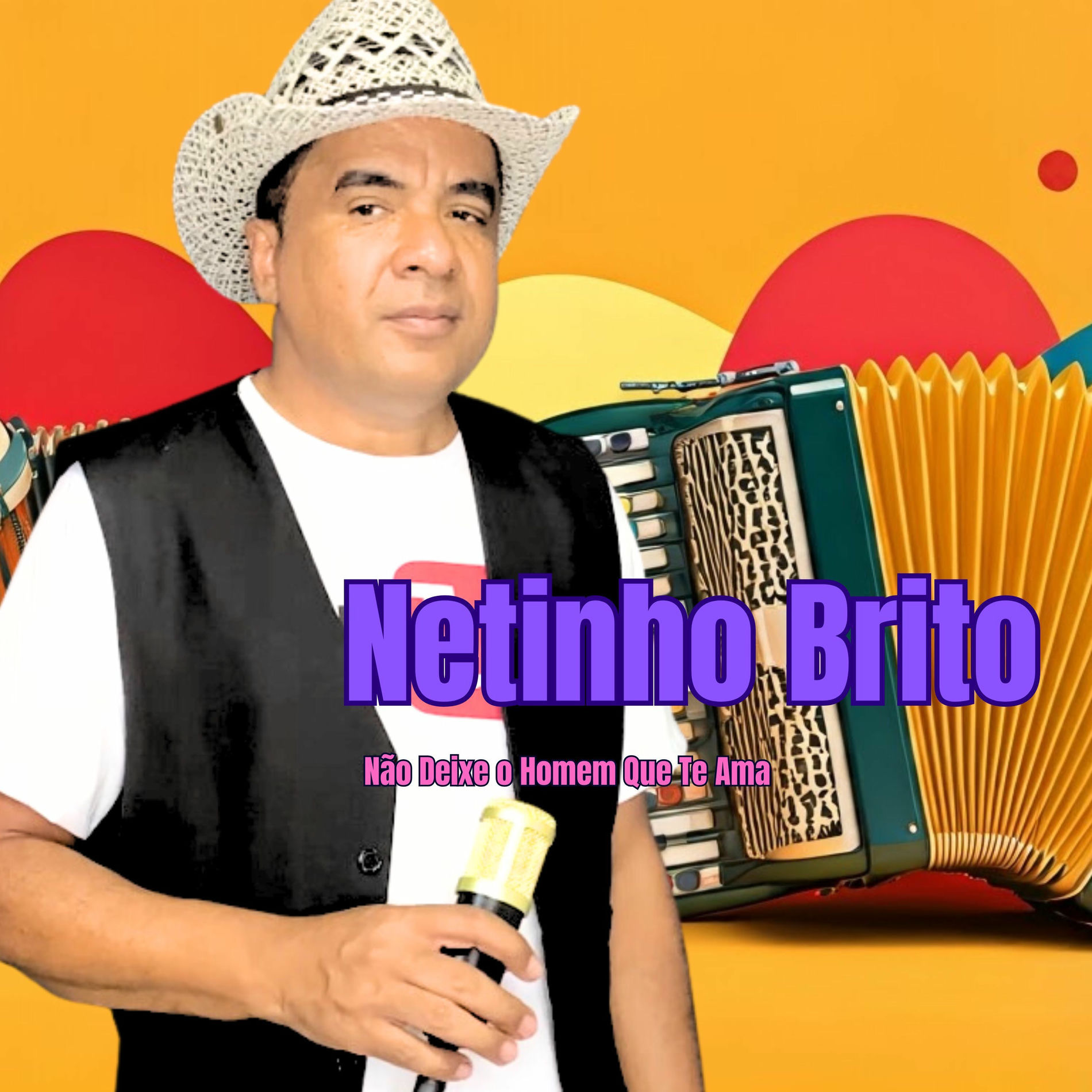 Album cover of Não Deixe o Homem Que Te Ama
