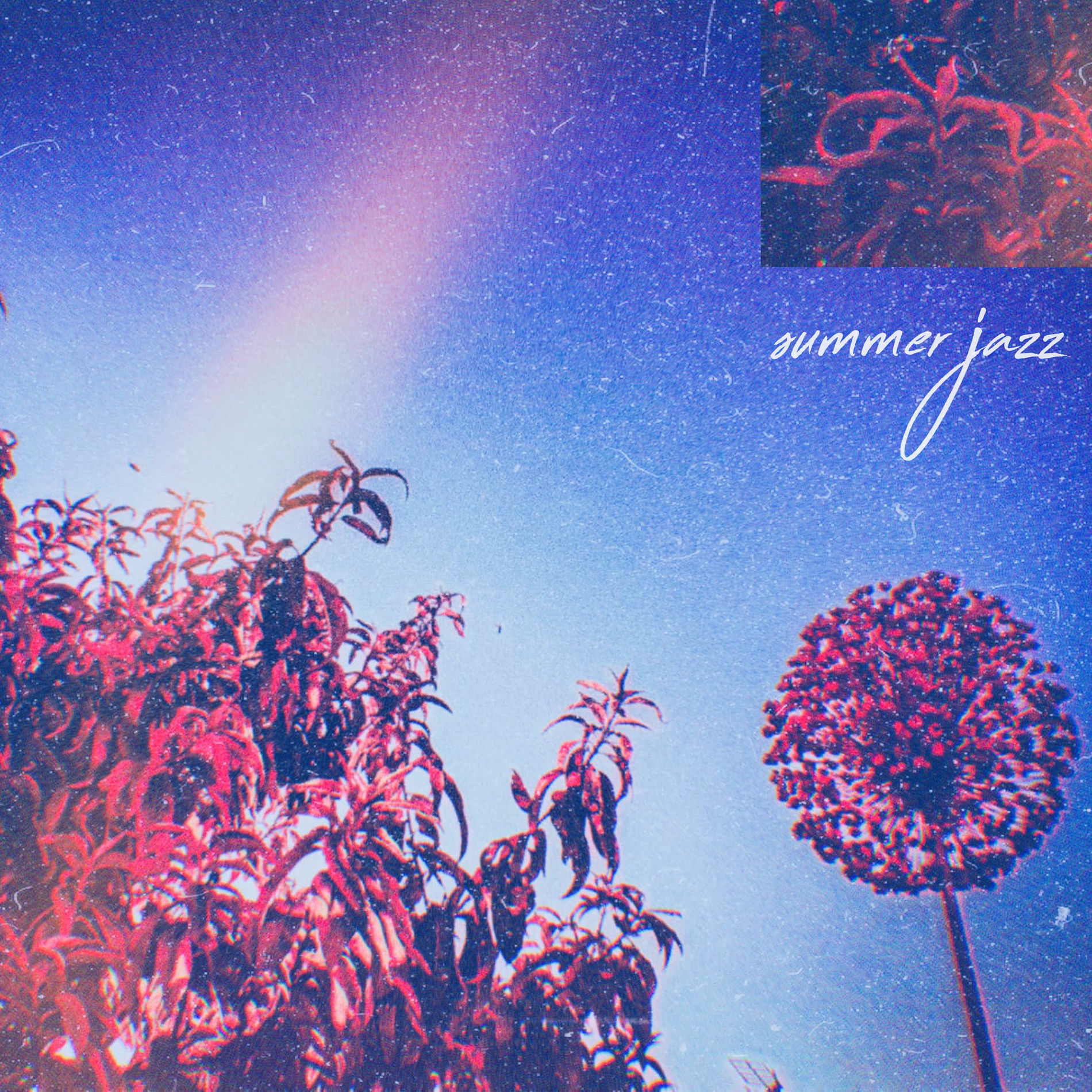 Album cover of Summer Jazz