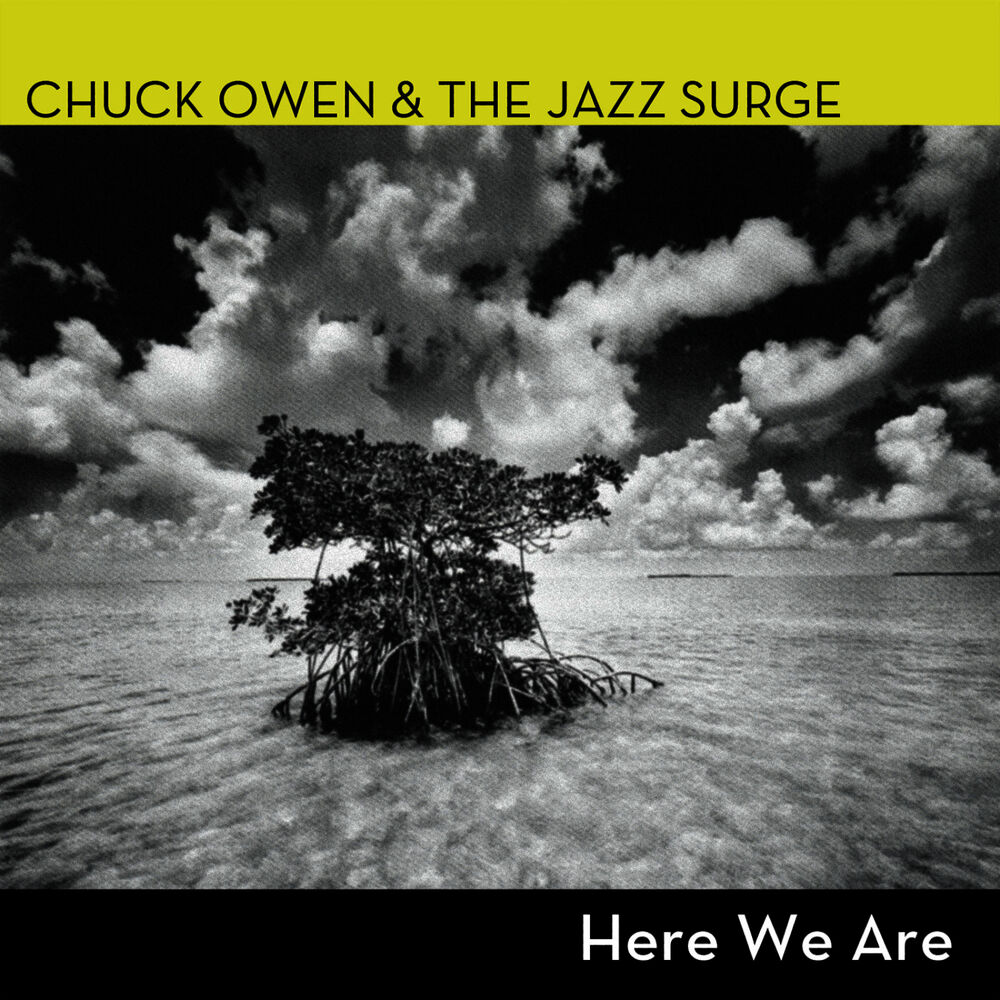 Picture of Here We Are