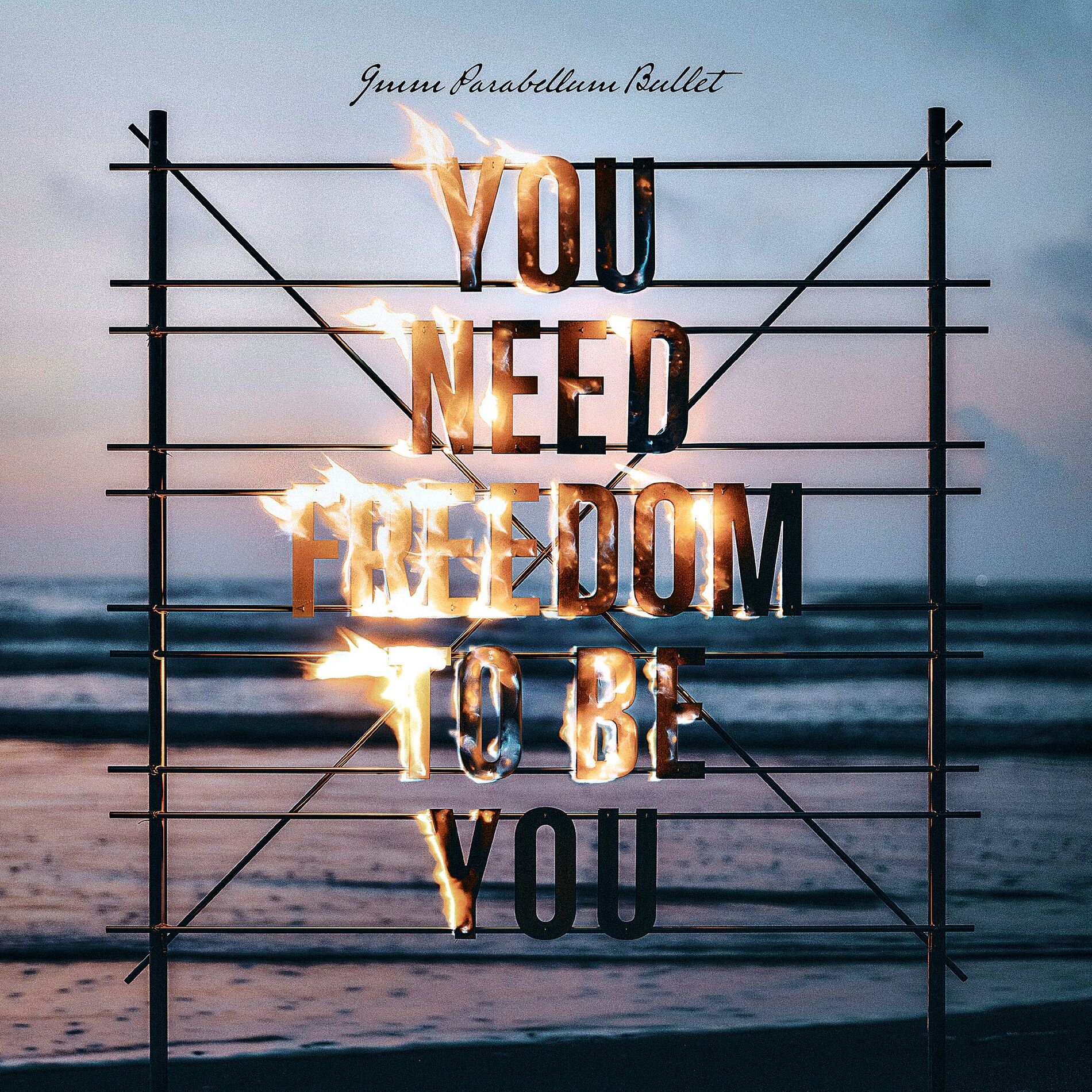 Album cover of You Need Freedom to Be You